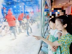 -芜湖新华联大白鲸海洋公园