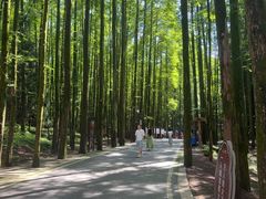 -山王坪喀斯特国家生态公园