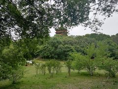 -富乐山