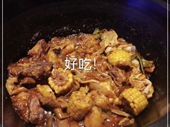 -挂雪铁锅炖大鹅