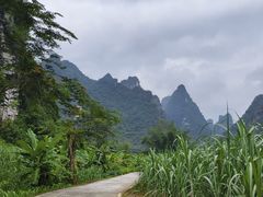 -明仕田园