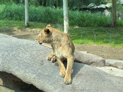 -北京野生动物园