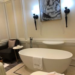 -奥斯芬欧系贵族SPA
