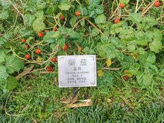 -广州神农草堂中医药博物馆