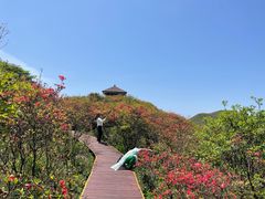 -大围山国家森林公园