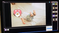 -Angel Fish photography 儿童摄影工作室(亚运村店)