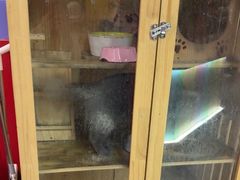 -203密室体验馆·逃脱·聚会·亲子(工体店)
