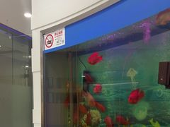 -雅悦齿科(顾村公园店)