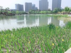 -西海子公园
