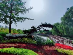-西安浐灞国家湿地公园