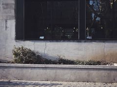 -花马天堂云南餐厅 Lost Heaven(外滩店)