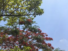 -大清国一号界碑