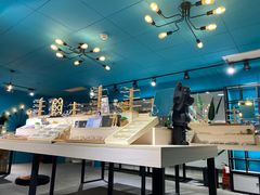 -Trend1881视光·蔡司视觉(领展广场店)