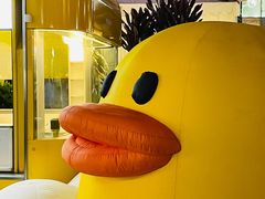 -清晖小苑•顺德地方菜(壹海城店)