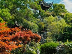 -芥子园
