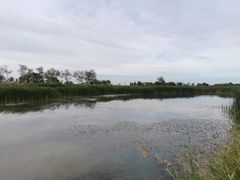 -盐城丹顶鹤湿地生态旅游区