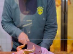 -江南福宴·澳门海鲜.牛肉火锅(汇高栢悦中心店)
