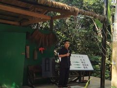 -海南槟榔谷黎苗文化旅游区