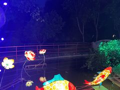 -广东花都香草世界旅游度假区