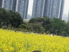 -光明农场大观园