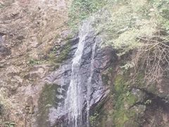 -江西阳明山国家森林公园