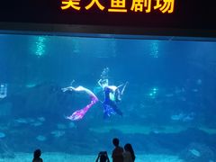 -福州罗源湾海洋世界旅游区
