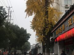 -老客满蛋饼(双塔市集店)