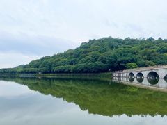 -李小龙乐园(顺德均安店)