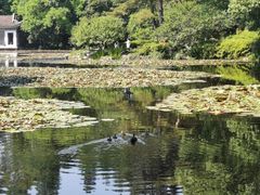 -杭州植物园