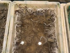 -拉完海鲜大排档(温岭店)