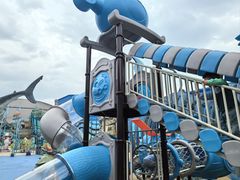 -海合安武汉极地海洋公园