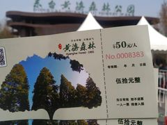 -黄海国家森林公园