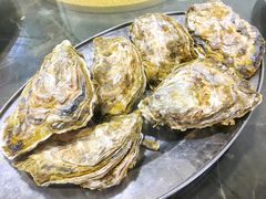 生蚝-蚝专家(北滘店)