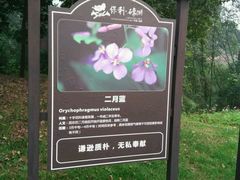 -保利石象湖景区