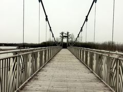 -西青郊野公园