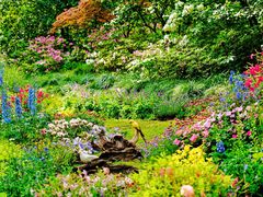 -上海共青森林公园