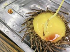 -劈柴院