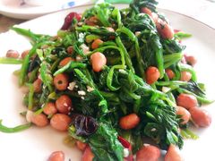 -大家乐东北菜(富河园店)