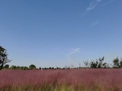 -汉长安城未央宫国家考古遗址公园