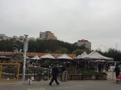 -中环花鸟鱼虫市场