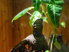 -慢丽江·云南野生菌土鸡锅(付家庄店)