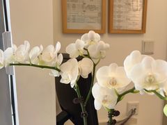 -微笑口腔(园区店)