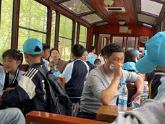 -合肥滨湖国家森林公园