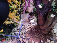 -正佳雨林生态植物园