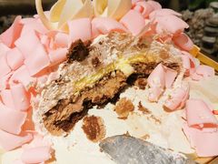 -BLACKSWAN黑天鹅(环球店)