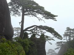 -黄山玉屏楼宾馆餐厅