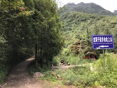 -龙窝子