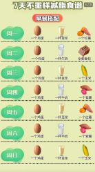 -Fundi张玉珊修身堂·indiba·BTL科技瘦身