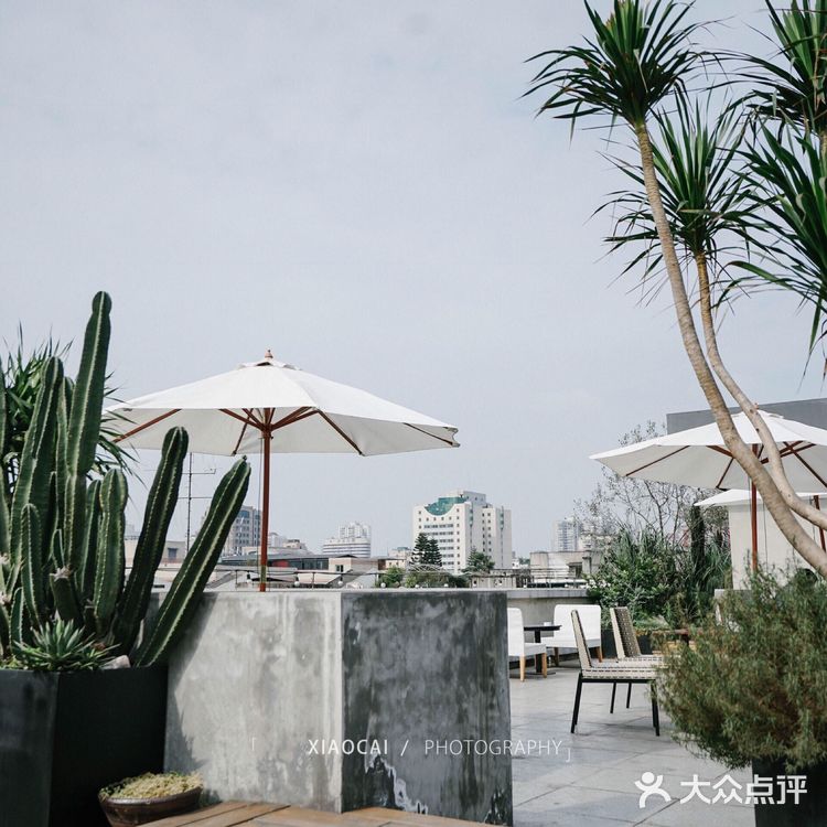 成都旅行攻略|瓦当瓦舍，在成都最繁华的地段游人温柔的家
