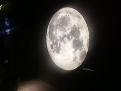 -STARRY CAFE & LOUNGE BAR(高新店)